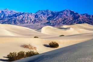 Mesquite dunes-6075.jpg